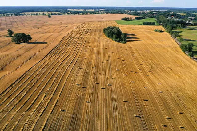 Aerial photos, surveys most popular business uses for drones, industry finds