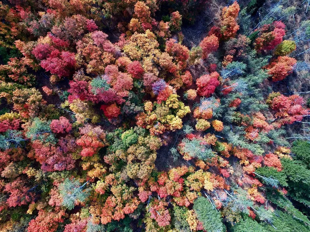 635738698489869774 XXX The Drone Economy11 1024x768 Aerial photos, surveys most popular business uses for drones, industry finds