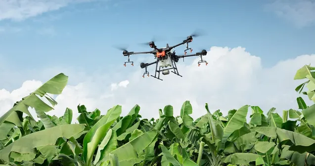 drone radio control What drones for beginners ?