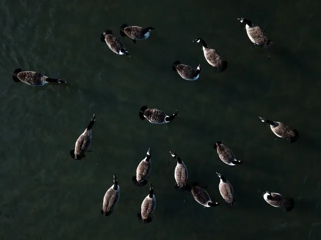 Aerial photos, surveys most popular business uses for drones, industry finds 635732491010339770 XXX 133378 004 Aerial photos, surveys most popular business uses for drones, industry finds